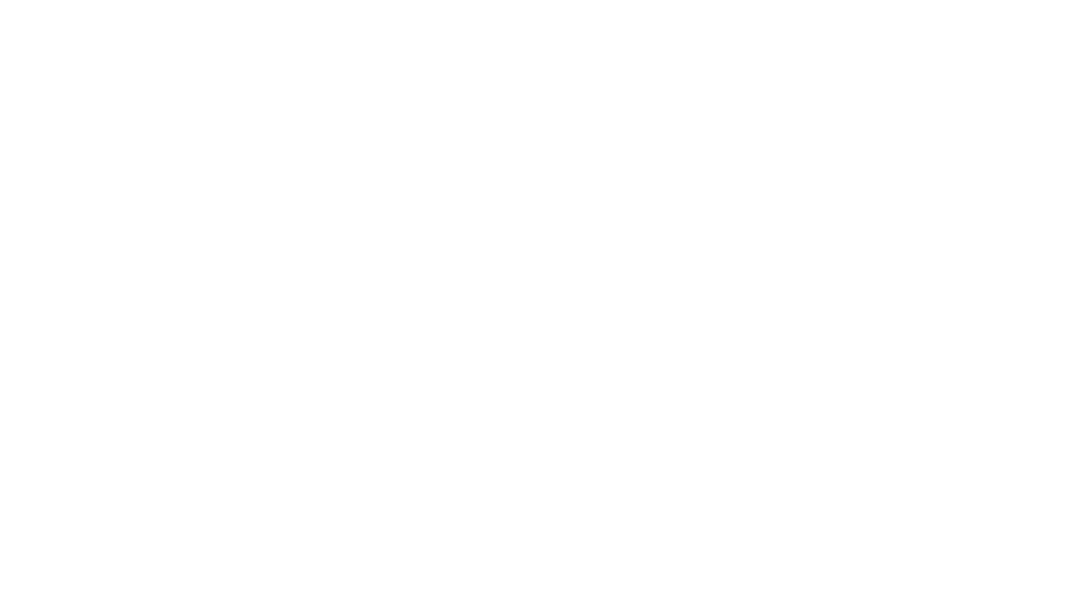Biruni Üniversitesi Logo